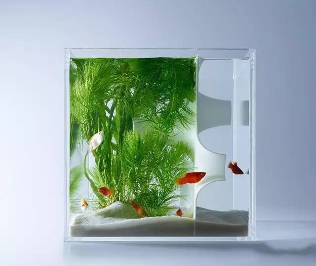 精美3d打印創意作品圖片欣賞 你見過3D打印的魚缸么?